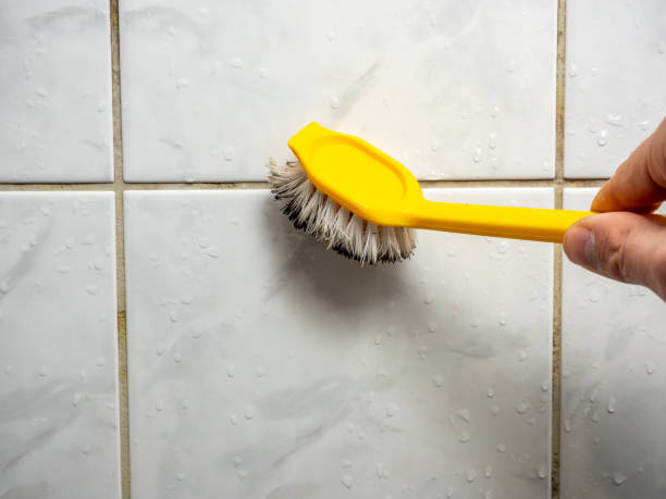 Best Certified Mold Removal  in Cody, WY