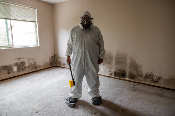 Certified Mold Removal in Cody, WY